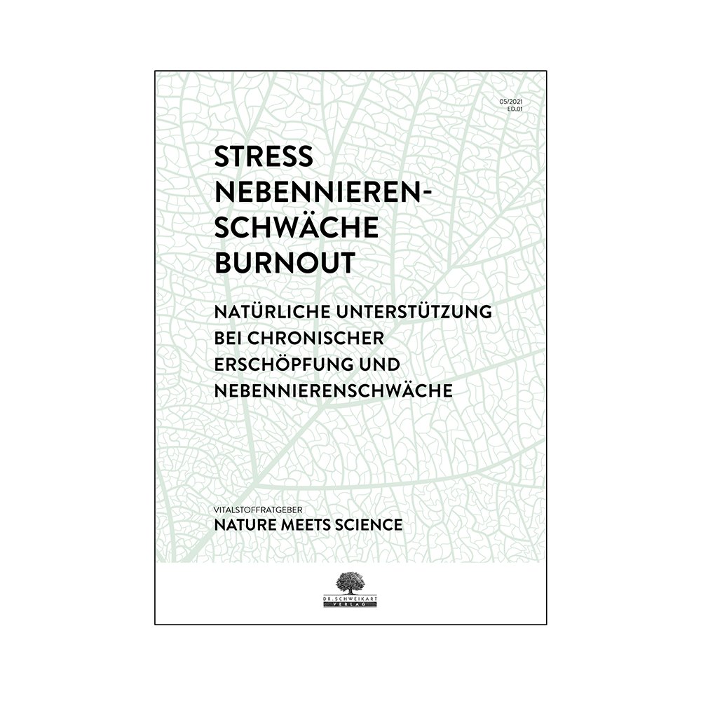 Stress Burnout Nebennierenschwache Pdf Ratgeber 72 Seiten Sunday Natural