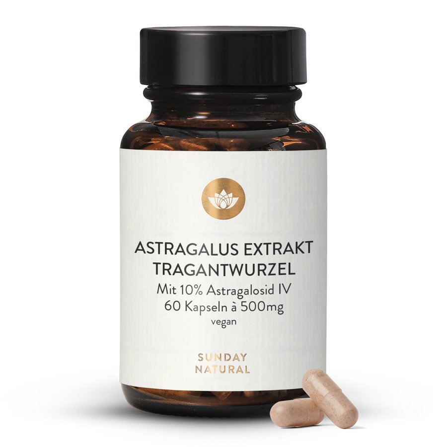 Astragalus Extract Capsules. 500mg, 10 Astragaloside. 60 capsules