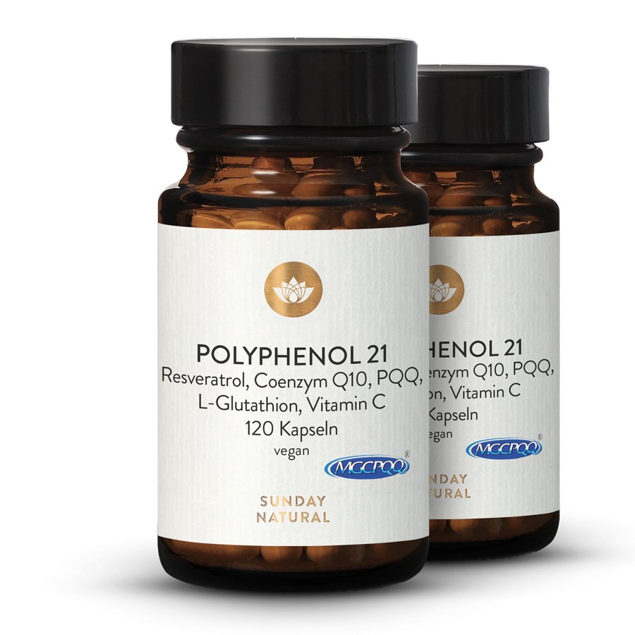 Polyphenol 21. Resveratrol Glutathion Q10 PQQ Vit C 2x120 Kapseln