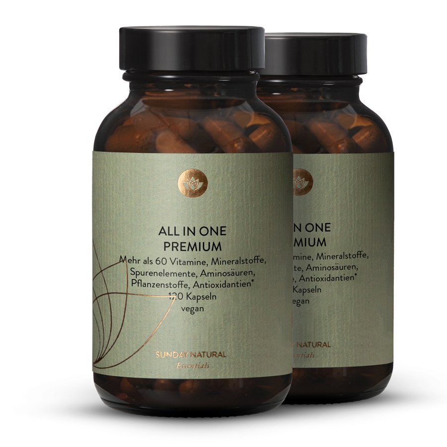 Multivitamin All In One Premium Vegan Set 2x120 Kapseln
