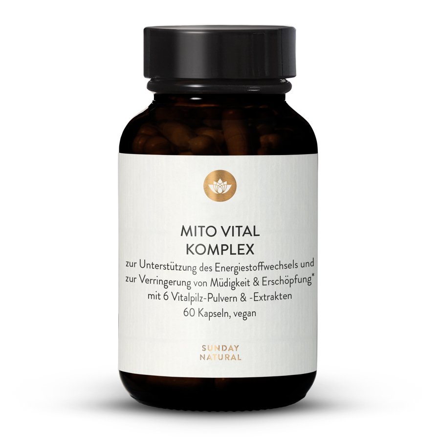 Mito Vitalpilze Komplex   Vitamin B2, B3, B5 für Energie, gegen Müdigkeit