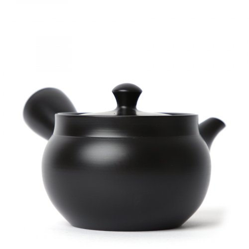 Kyusu Tokoname Kasen