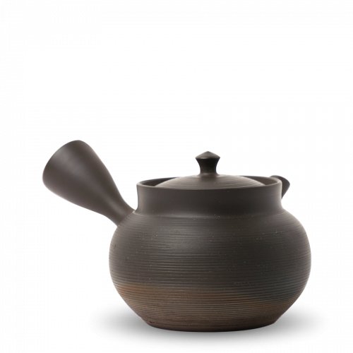 Kyusu Tokoname Gyokko Sendan