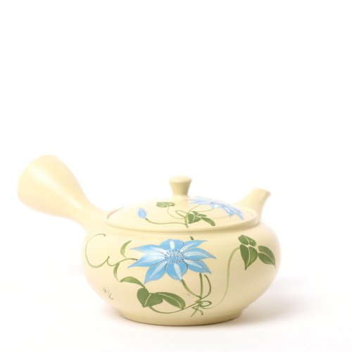 Vintage Kyusu Tokoname Gyokko Tessen