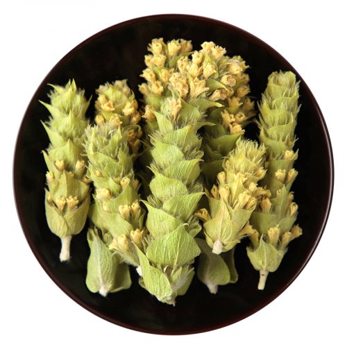 Titan Mountain Tea Bio
