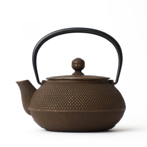 Iwachu Tetsu-Kyusu<br>Arare Goldcafe