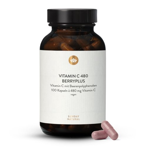 Vitamine C + Polyphénols 480mg