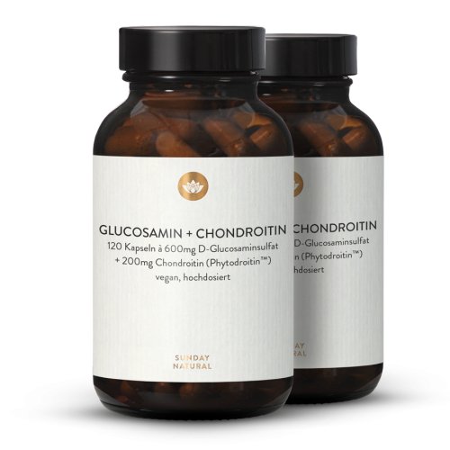 Glucosamin 600mg + Chondroitin 200mg Hochdosiert