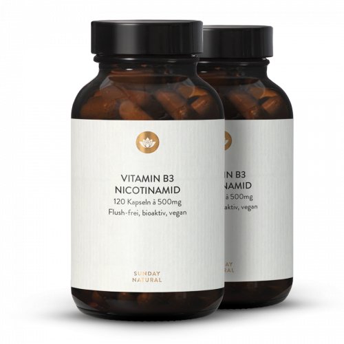 Vitamin B3 Nicotinamide High-Dose
