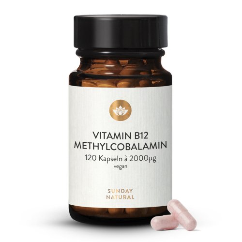 Vitamine B12 Sous Forme De Méthylcobalamine 2000µg