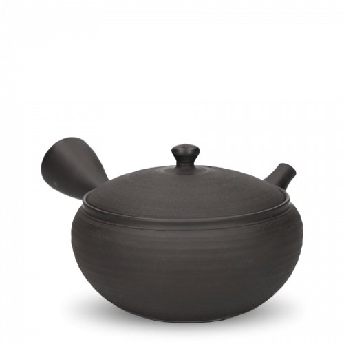 Kyusu Tokoname Gyokko Hira
