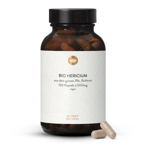Bio Hericium Erinaceus Pulver Kapseln
