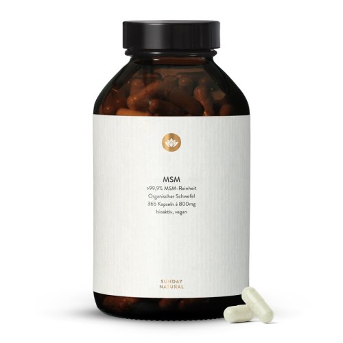 MSM 800mg En Gélules