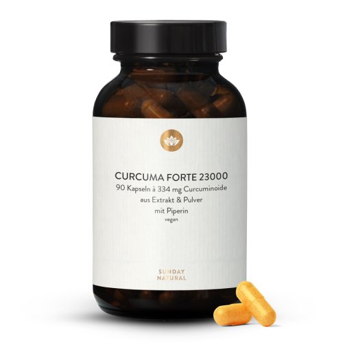 Curcuma Forte 23000 Extrakt 334mg Curcumin vegan 90 Kapseln