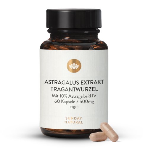 Astragalus Extrakt Kapseln