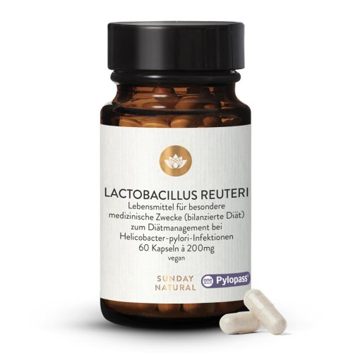 Lactobacillus Reuteri Pylopass® + B12 MH3A-D® en gélules