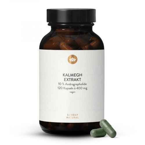 Kalmegh Extrakt 400mg Kapseln
