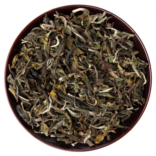 Glenburn Moonshine White Darjeeling First Flush
