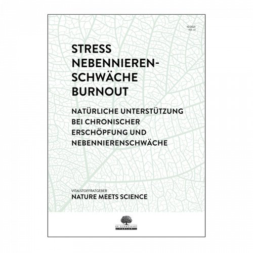 Stress & Burnout