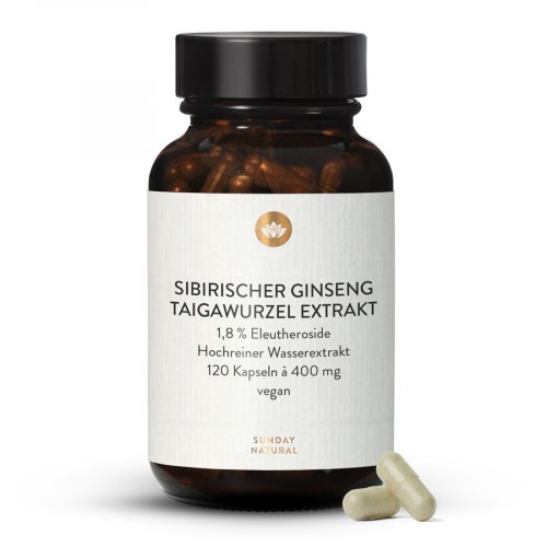 Sibirischer Ginseng Taigawurzel Extrakt