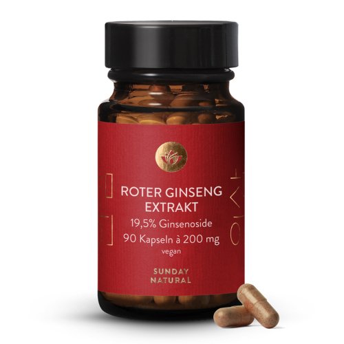 Roter Ginseng Extrakt 19,5%