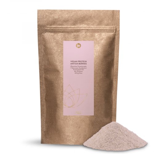 Vegan Protein Antiox Berries