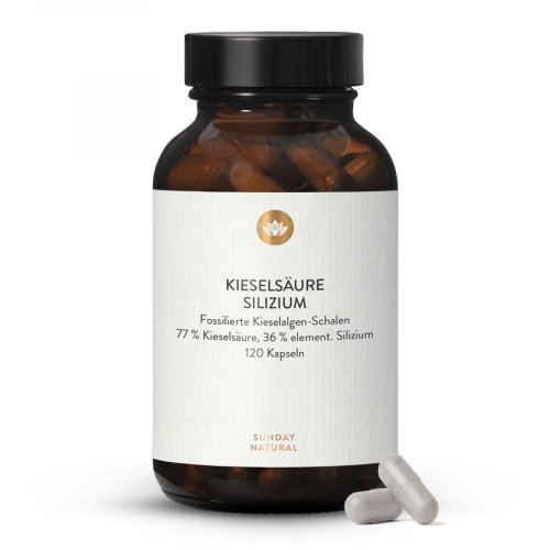 Kieselsäure 350mg Organisches Silizium 