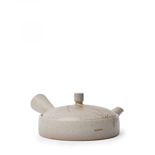 Kyusu Tokoname Jinshu Mogake Hira Beige