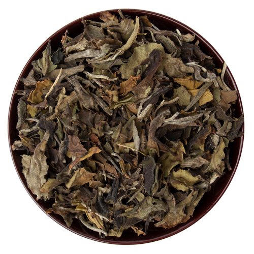 Aged Baoshan Bai Lu Mu Dan 2017 Pest.Free Farming