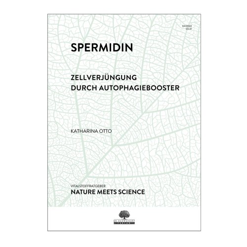 Spermidin - Zellverjüngung durch Autophagiebooster