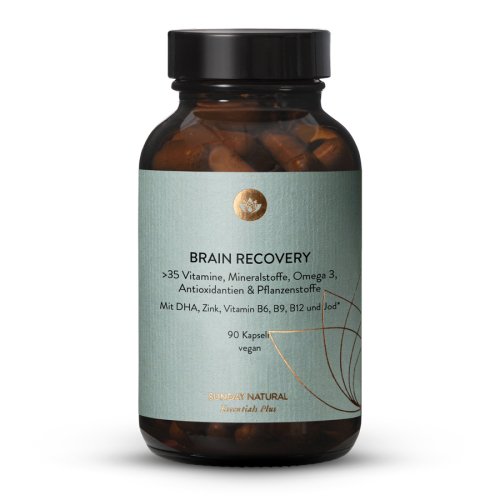 Brain Recovery