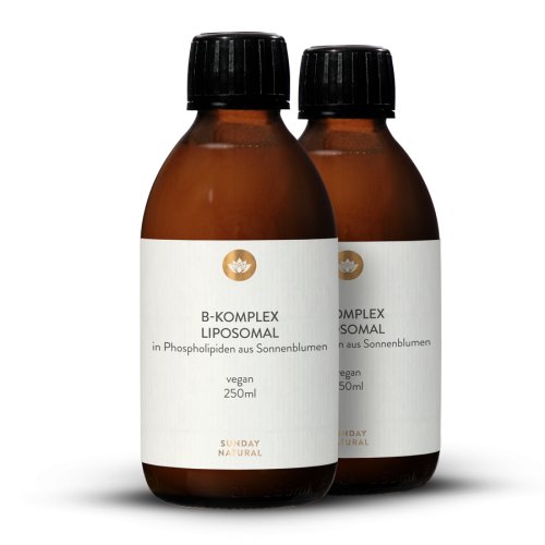 Liposomaler BKomplex, hoch bioverfügbar, vegan, 2x 250ml Sunday Natural