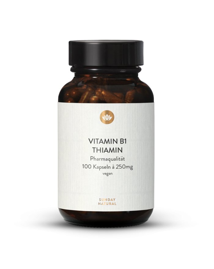 Vitamin B1 B3 B5 B6 B12 Biotin Folsäure & Cholin Inositol PABA Betain