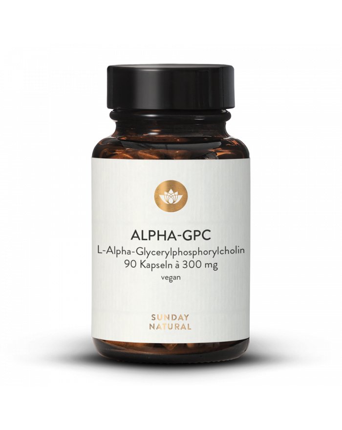 Vitamin B1 B3 B5 B6 B12 Biotin Folsäure & Cholin Inositol PABA Betain