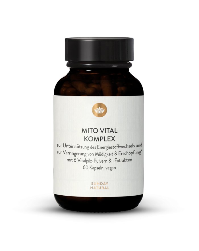 Mitochondria Complexes: Boost Energy Metabolism   Fight Fatigue and ...