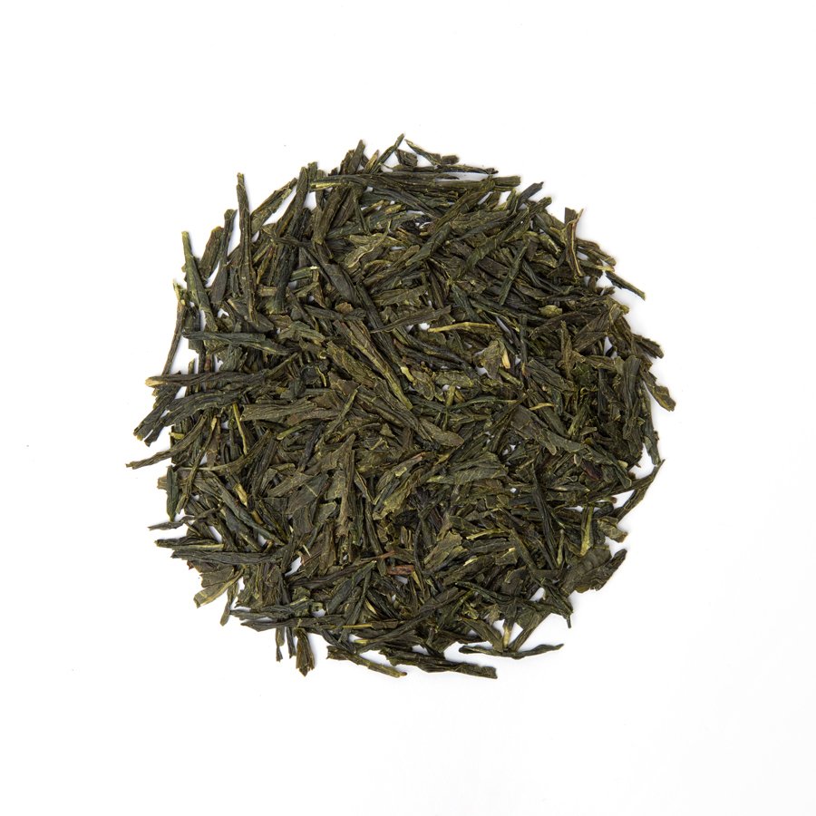 Catechin Tee