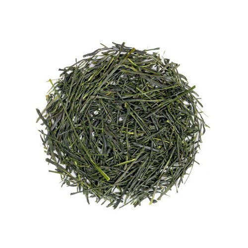 SENCHA