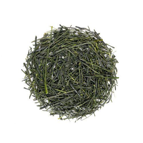 Shincha 2022