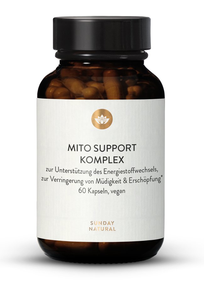 Mito Support <br> Komplex
