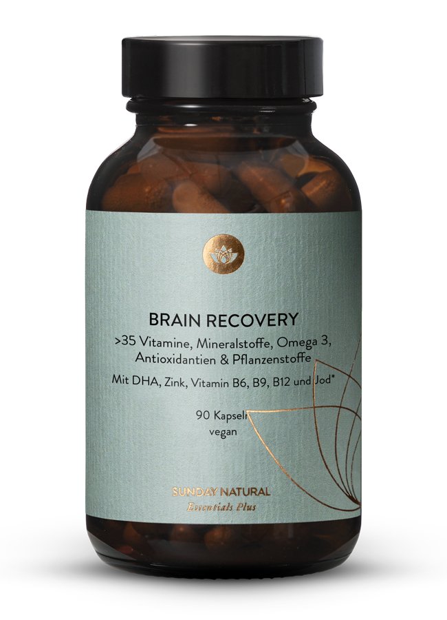 Brain Recovery <br> Komplex