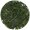Sencha